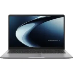 Asus ExpertBook P1 PM1503CDA - portátil | ficha técnica