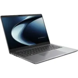 Asus ExpertBook P3 PM3406CKA - portátil | ficha técnica