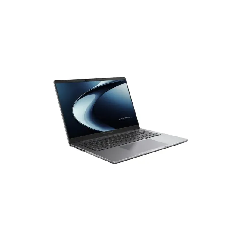 Asus ExpertBook P3 PM3406CKA - portátil | ficha técnica