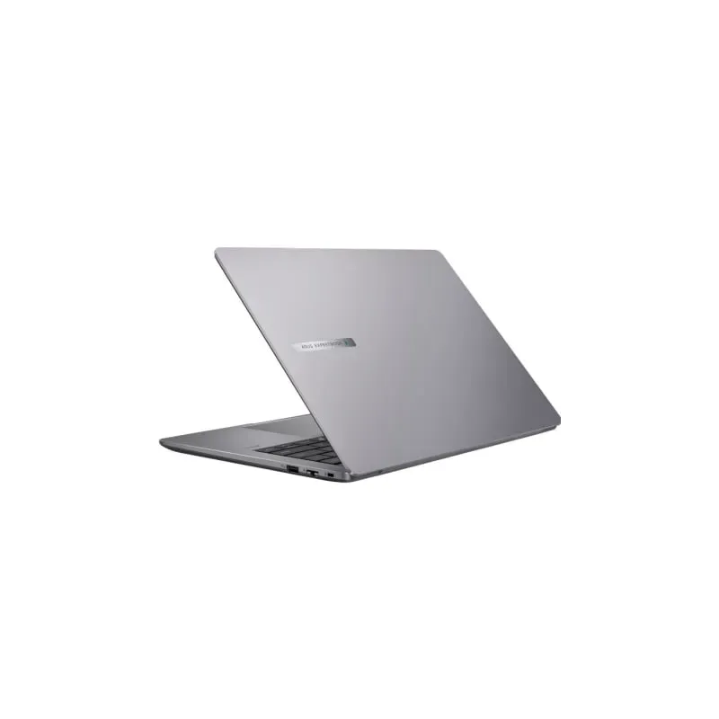 Asus ExpertBook P3 PM3406CKA - portátil | ficha técnica